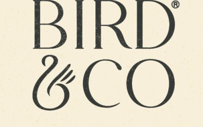 Bird & Co Studio