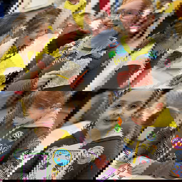 A collage of brownies holding cards